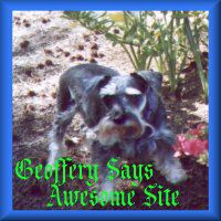 Geoffrey Awesome Site Award