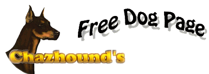 dogs