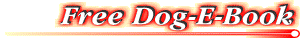 send to
