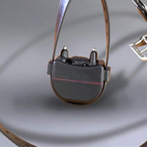 Tri-Tronics Bark Limiter XS