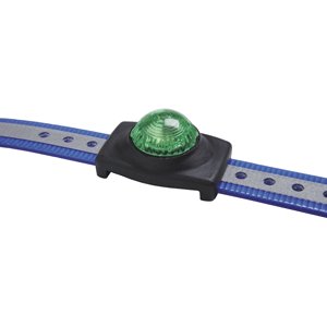 Tracker Flash Light