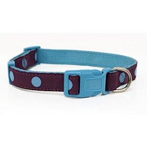 Blue Dot Dog Collar
