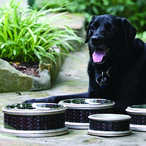 The Richard Dog Bowls