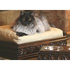 Seafarer's Pet Bed