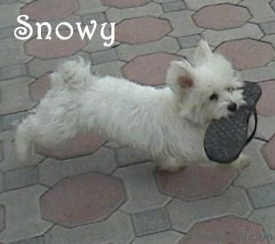 Flip-flop_copy