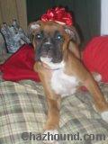 3651dixie_2