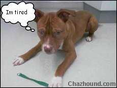 imtired