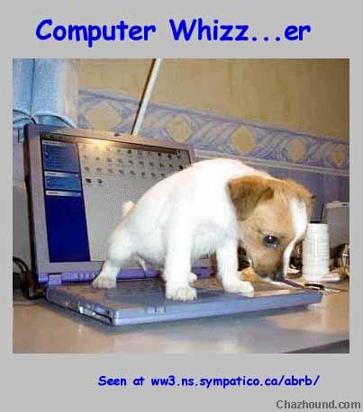 419CompWhizz