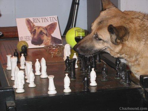 chess2