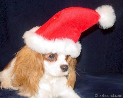 In_Hat_11