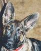 1624Beth_big_ears_no.jpg 1624Beth_big_ears_no.jpg