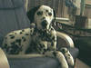 203Image010.jpg 203Image010.jpg