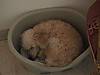DSC01759.JPG