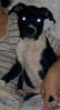 564Copy_of_Picture_203.jpg 564Copy_of_Picture_203.jpg