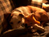 862DCP_0010.JPG