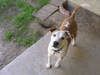 862DCP_0014.JPG