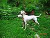 CIMG1708_0015.jpg CIMG1708_0015.jpg