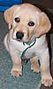 Jake6.JPG