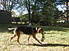 Snoopy_toy0001.JPG