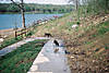 dog_park_walk_way.jpg