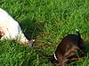 hyia_from_kelly_s_089.jpg hyia_from_kelly_s_089.jpg