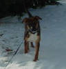 1006riley21.JPG 1006riley21.JPG
