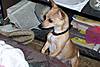 100_0681.JPG 100_0681.JPG