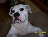 100_3096.JPG 100_3096.JPG