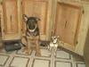 760shakti16weeks.jpg 760shakti16weeks.jpg