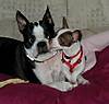 Picture_161.jpg Picture_161.jpg