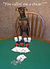 PokerFace4.jpg PokerFace4.jpg