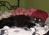 1902BabyGirl.jpg 1902BabyGirl.jpg