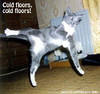 419ColdFloors.jpg 419ColdFloors.jpg
