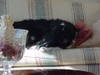 237.jpg 237.jpg