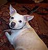 100_0461.JPG 100_0461.JPG