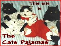 Cats Pajamas Award