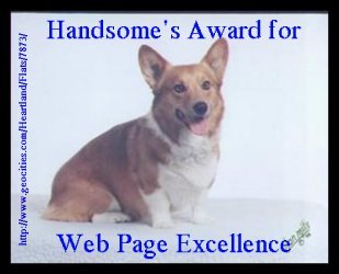Handsome's Award For Web Site Excellence