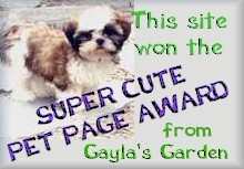 Cutest Pet Page Award