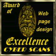 Cyber Scans Award of Excellence