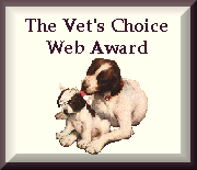 Vet's Choice Web Award