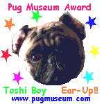 Pug Museum Award
