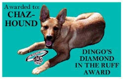 Ruff Award