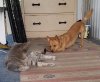 20170804_161851.jpg