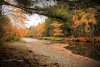 xsmCorel_IMG_3785.jpg
