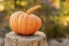 pumpkin-4454745_1920.jpg