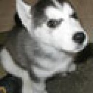 Husky626