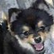 copperdogsmom