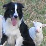 irenafarm