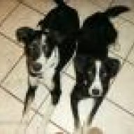 Kye&Rio