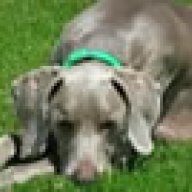 weim83